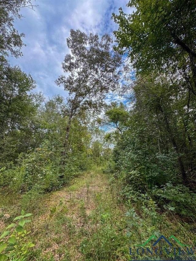 35.42 acres in Cass County - photo 28