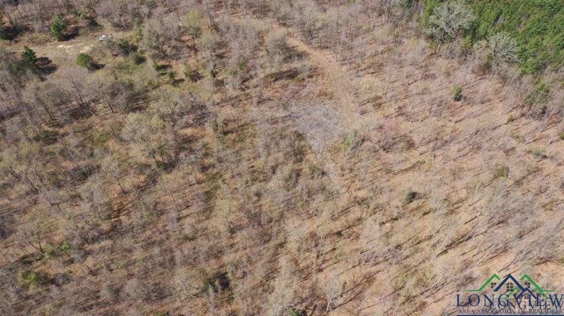 35.42 acres in Cass County - photo 3