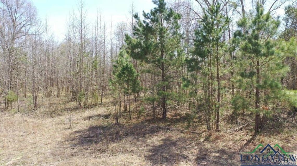 35.42 acres in Cass County - photo 9