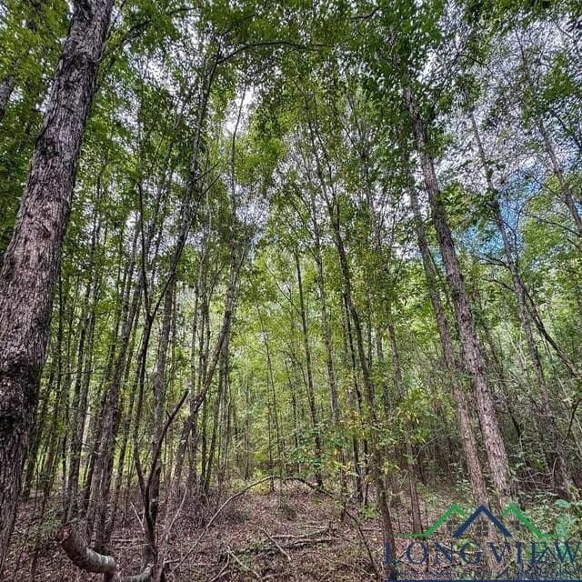 35.42 acres in Cass County - photo 22