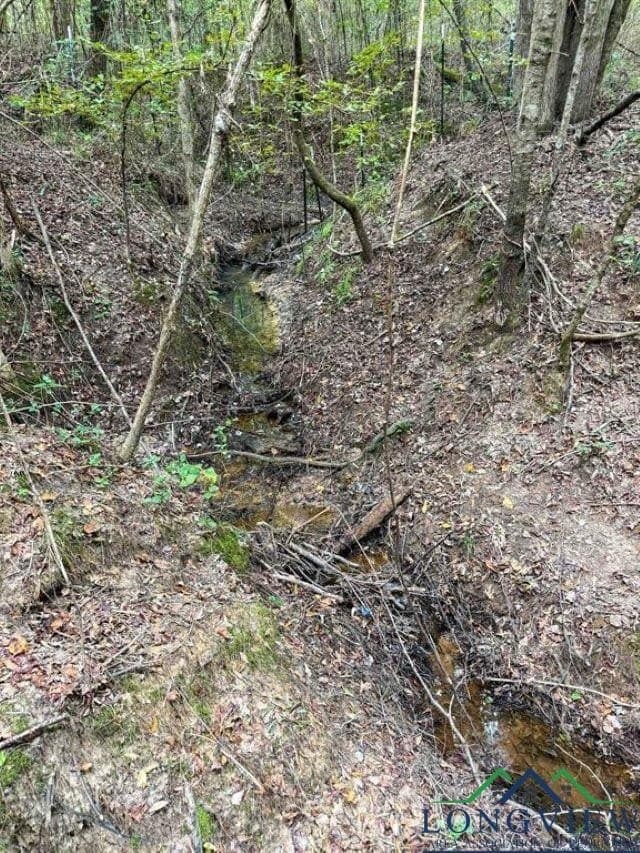 35.42 acres in Cass County - photo 23