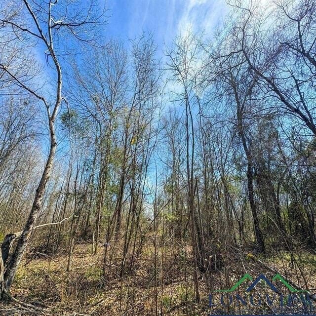 35.42 acres in Cass County - photo 15