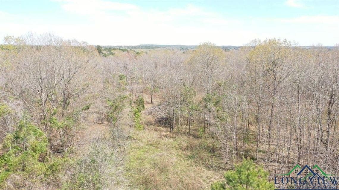 35.42 acres in Cass County - photo 8
