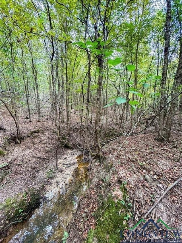 35.42 acres in Cass County - photo 12