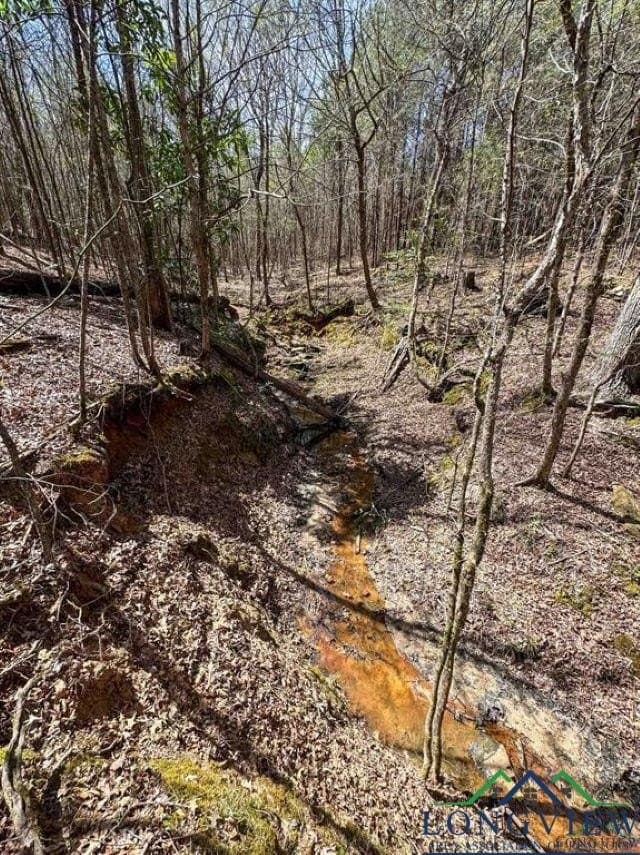 35.42 acres in Cass County - photo 11