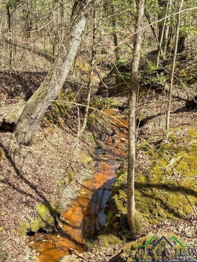 35.42 acres in Cass County - photo 10