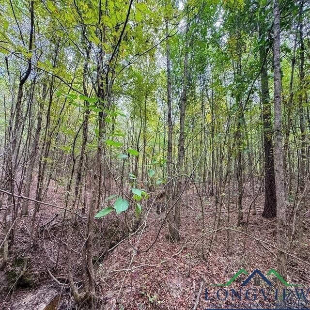 35.42 acres in Cass County - photo 20