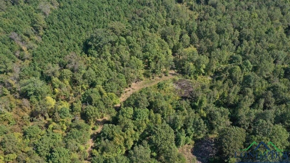 35.42 acres in Cass County - photo 25