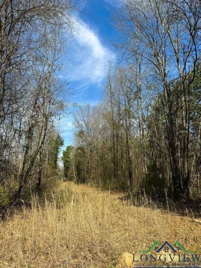 35.42 acres in Cass County - photo 14