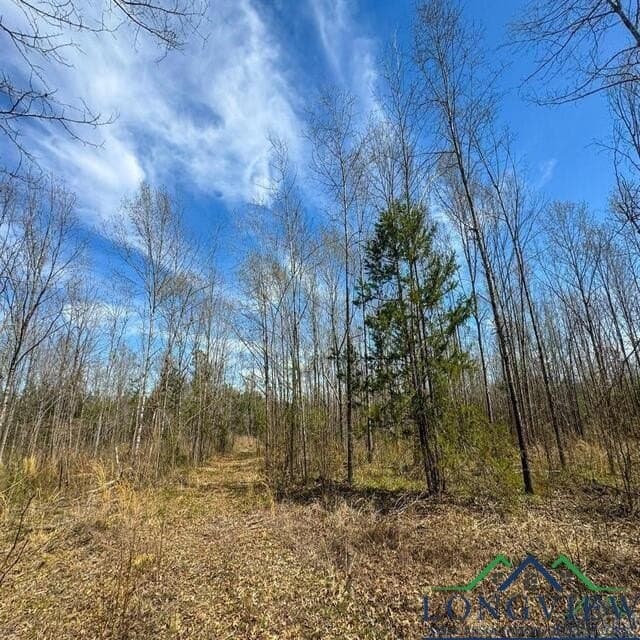 35.42 acres in Cass County - photo 17