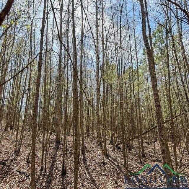 35.42 acres in Cass County - photo 16