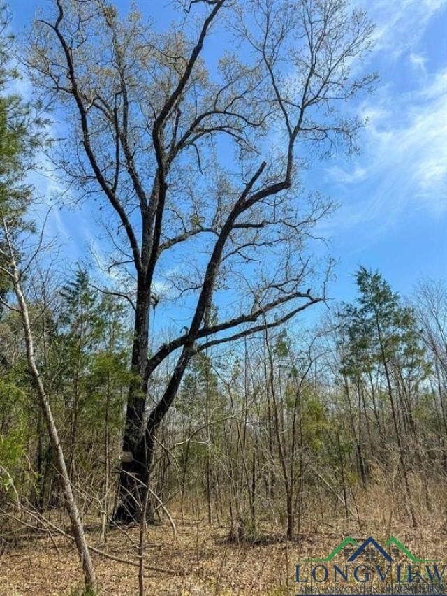 35.42 acres in Cass County - photo 13