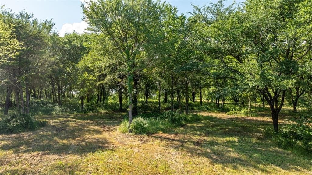 37.17 acres in Denton County - photo 11