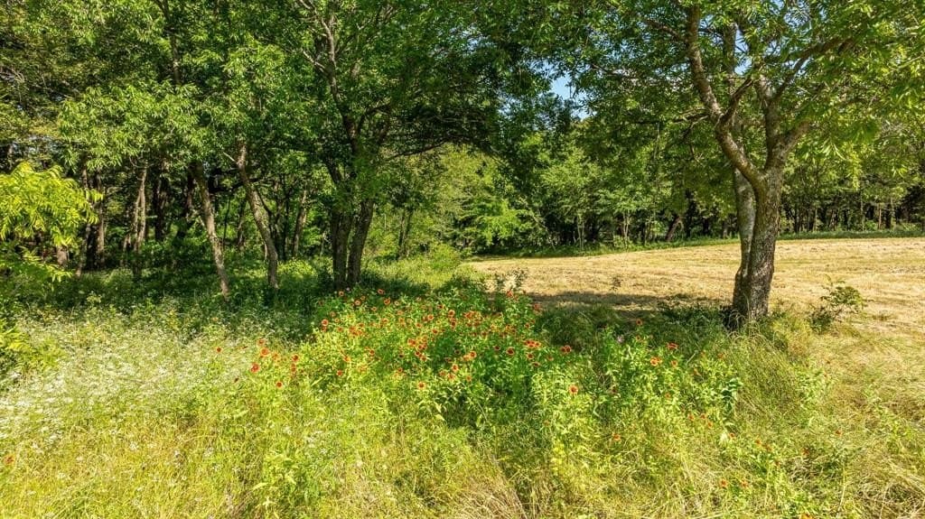 37.17 acres in Denton County - photo 4