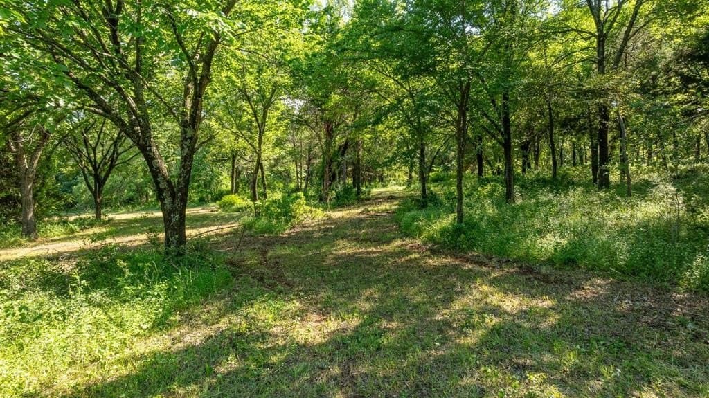 37.17 acres in Denton County - photo 10