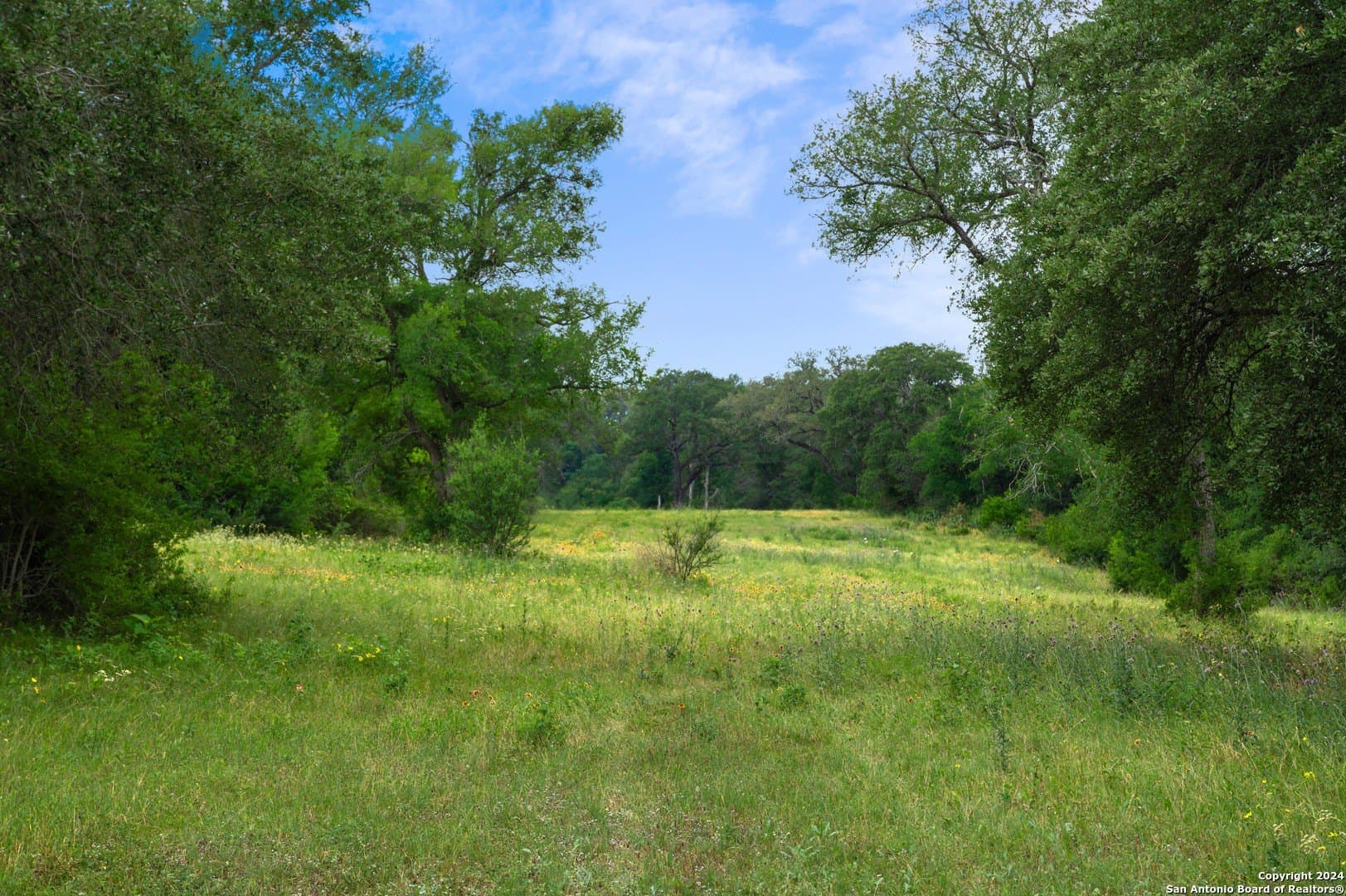 52 acres in Guadalupe County - photo 40
