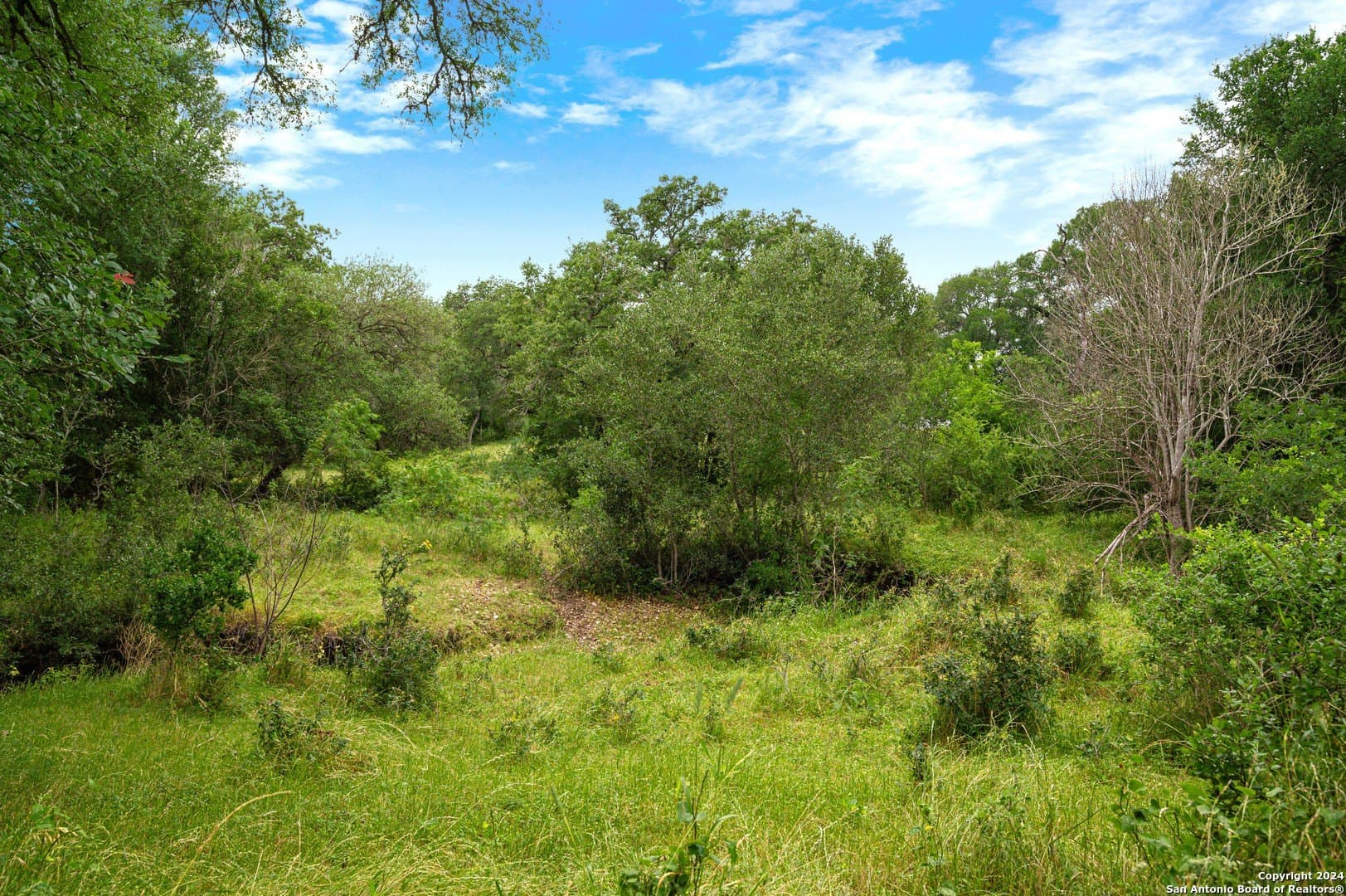 52 acres in Guadalupe County - photo 43