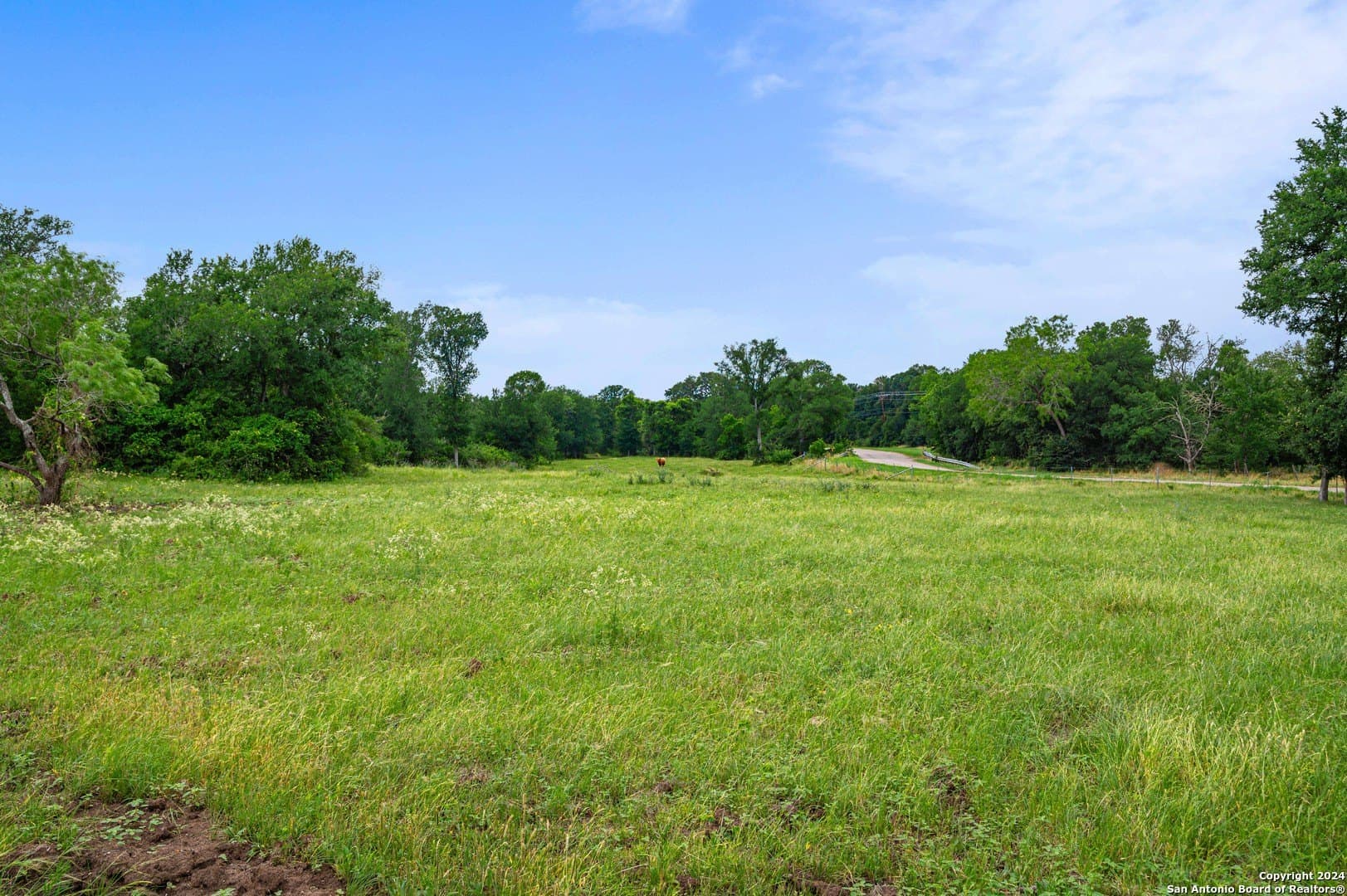 52 acres in Guadalupe County - photo 41