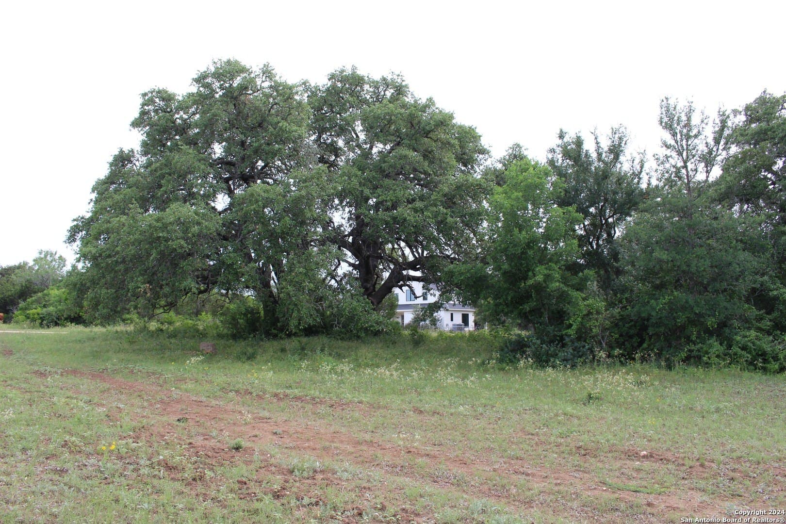 52 acres in Guadalupe County - photo 39