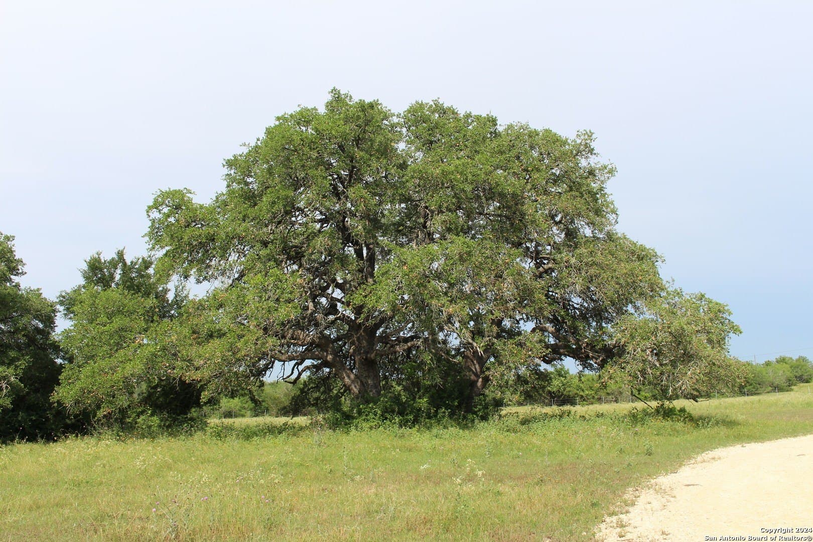 52 acres in Guadalupe County - photo 38