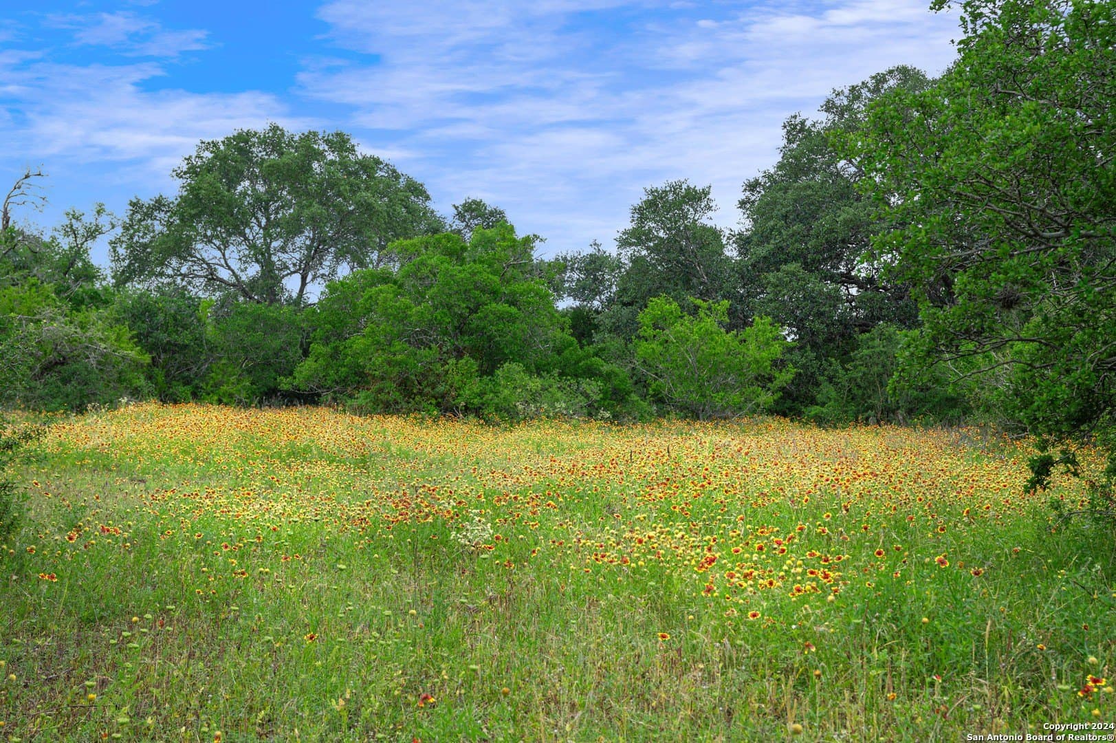 52 acres in Guadalupe County - photo 42