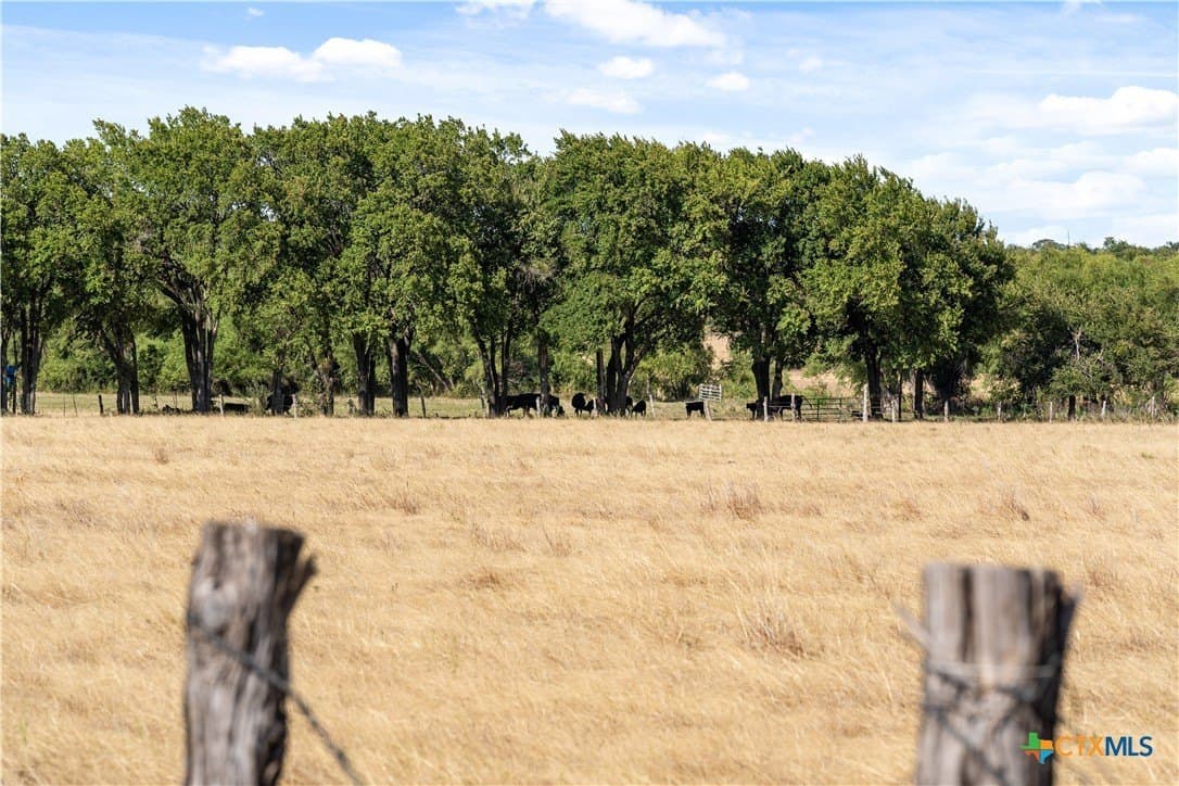105.49 acres in Bell County - photo 29