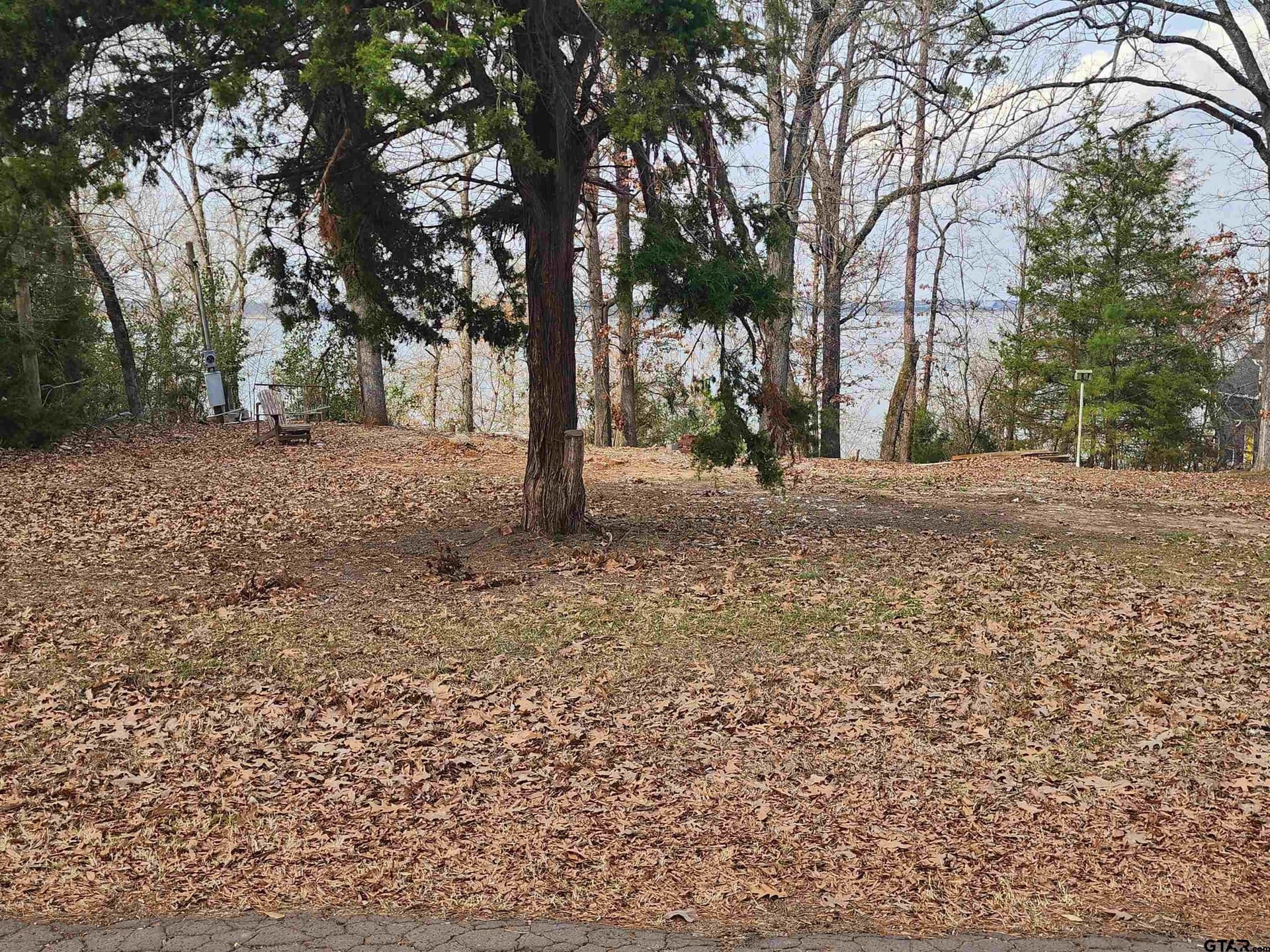 1 acres in Camp County - photo 3