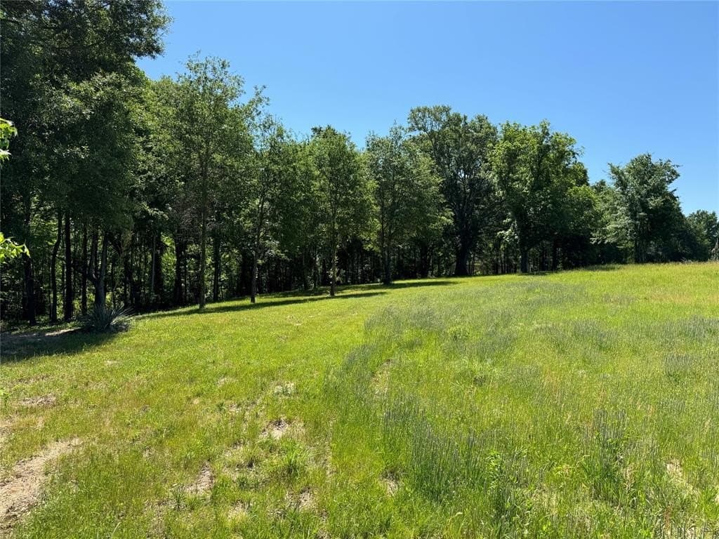 3.24 acres in Henderson County - photo 16
