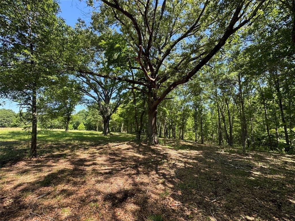 3.24 acres in Henderson County - photo 11