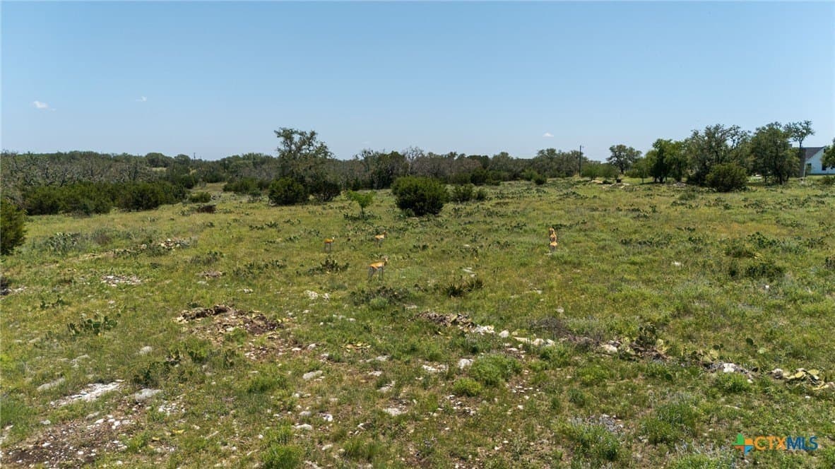 5 acres in Burnet County - photo 9