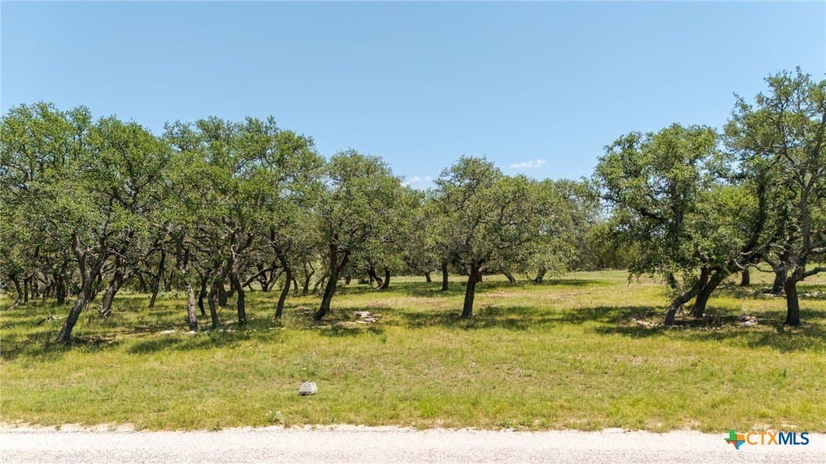 5 acres in Burnet County - photo 5