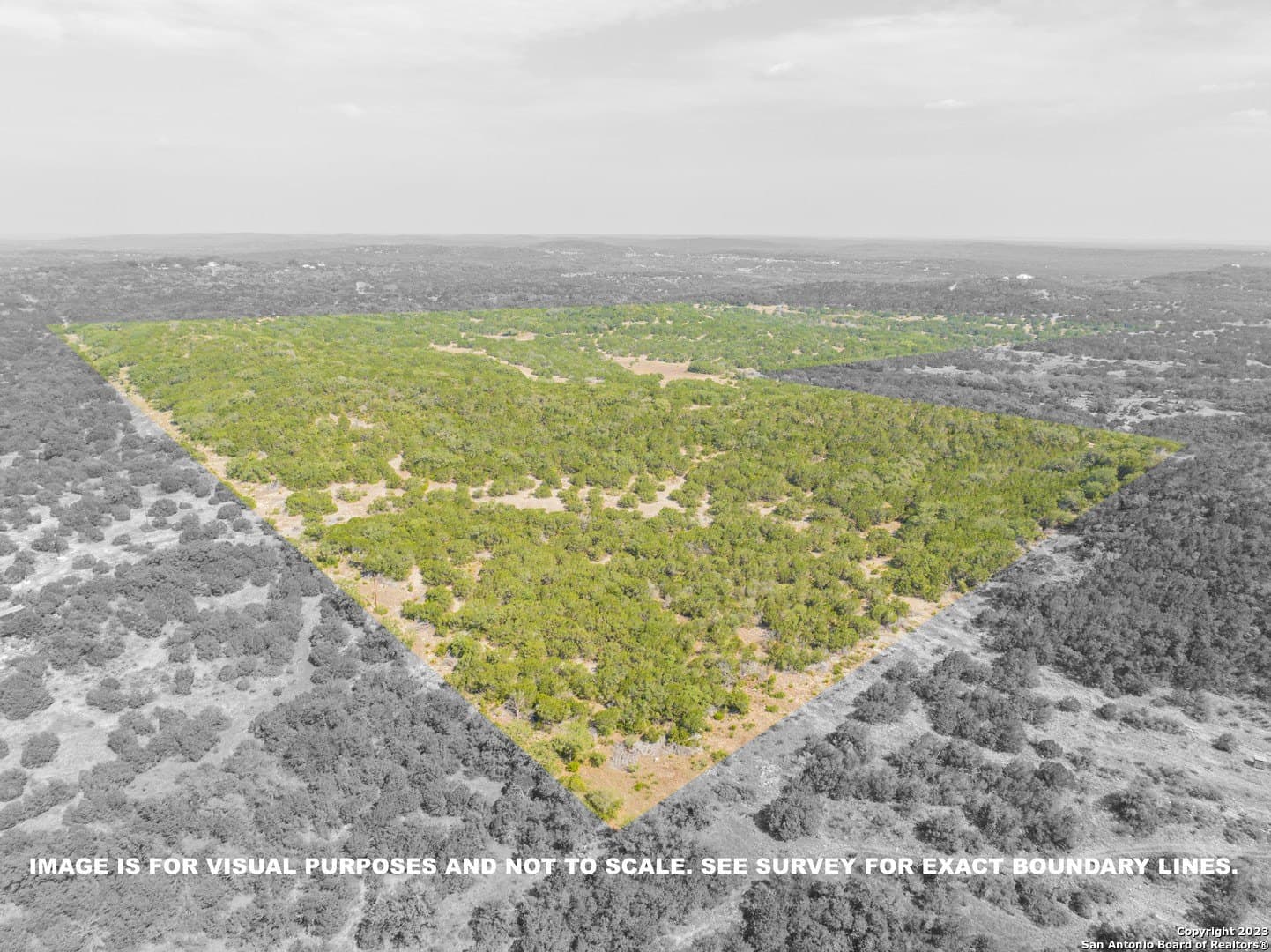 317 acres in Medina County - photo 11
