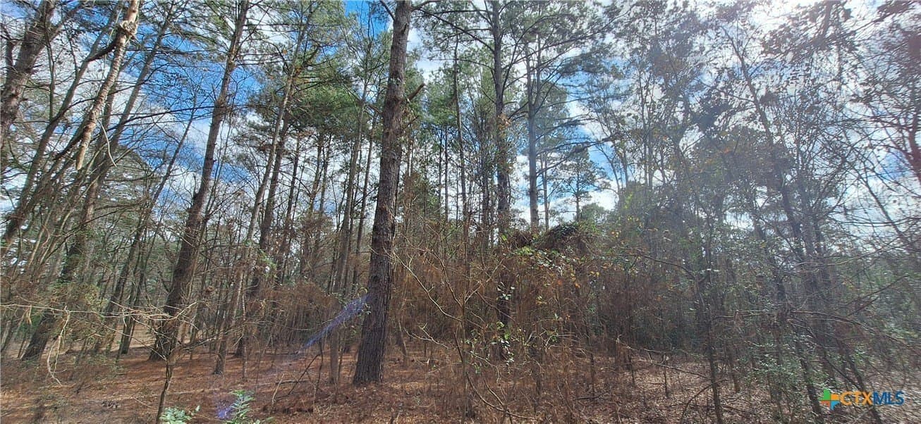 12.44 acres in Houston County - photo 8