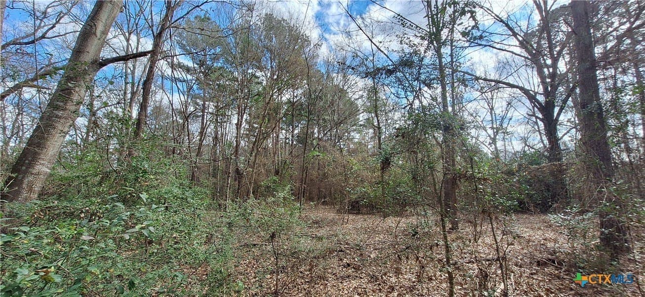 12.44 acres in Houston County - photo 6