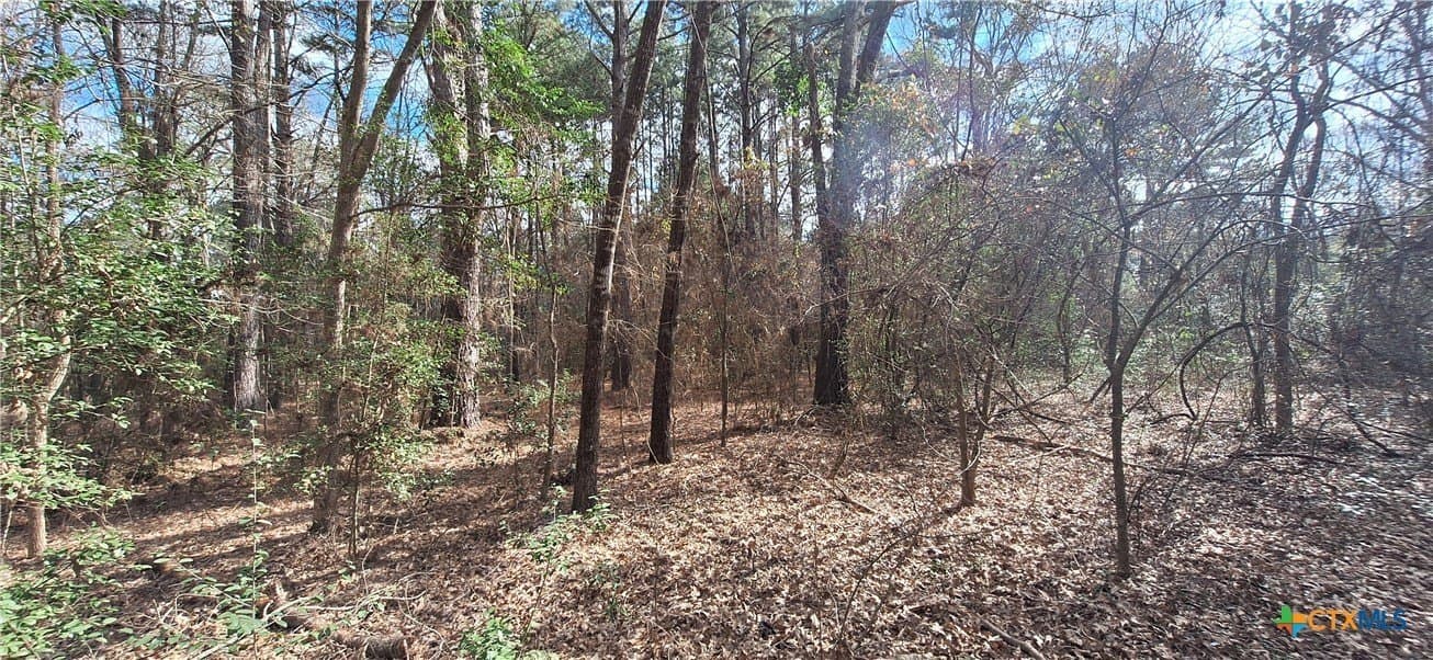 12.44 acres in Houston County - photo 7