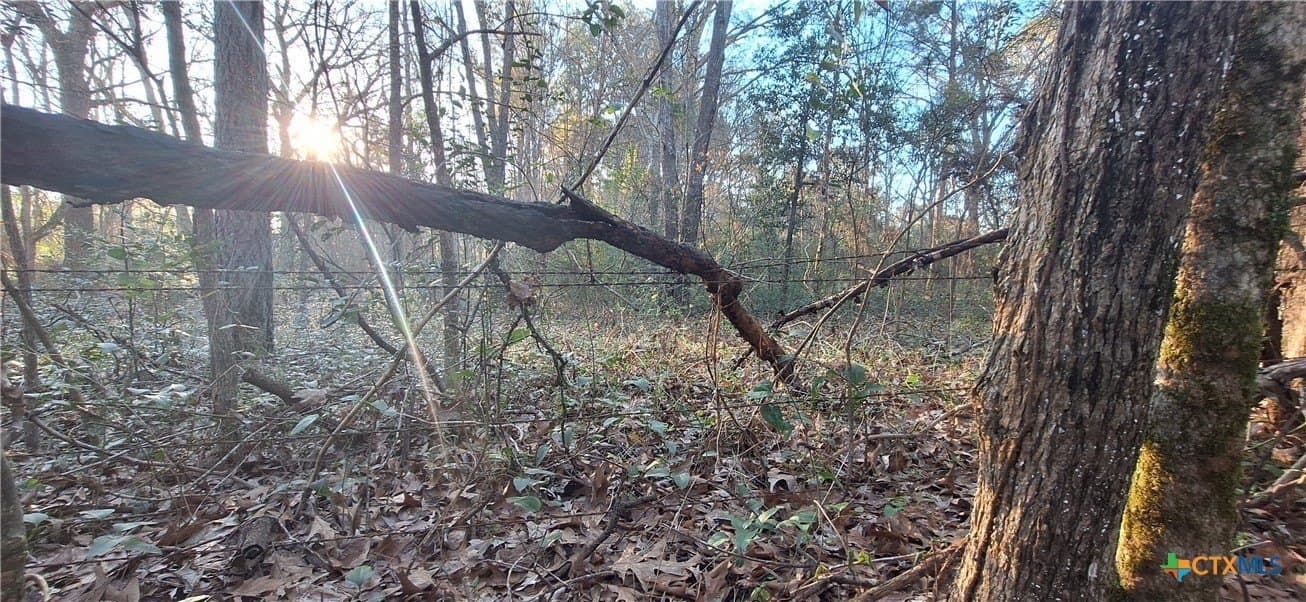 12.44 acres in Houston County - photo 3