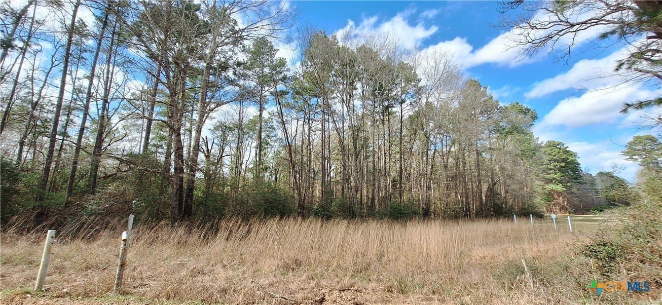 12.44 acres in Houston County - photo 10