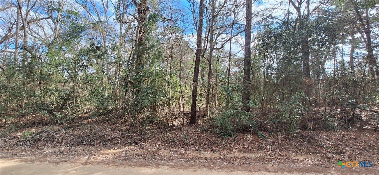 12.44 acres in Houston County - photo 5