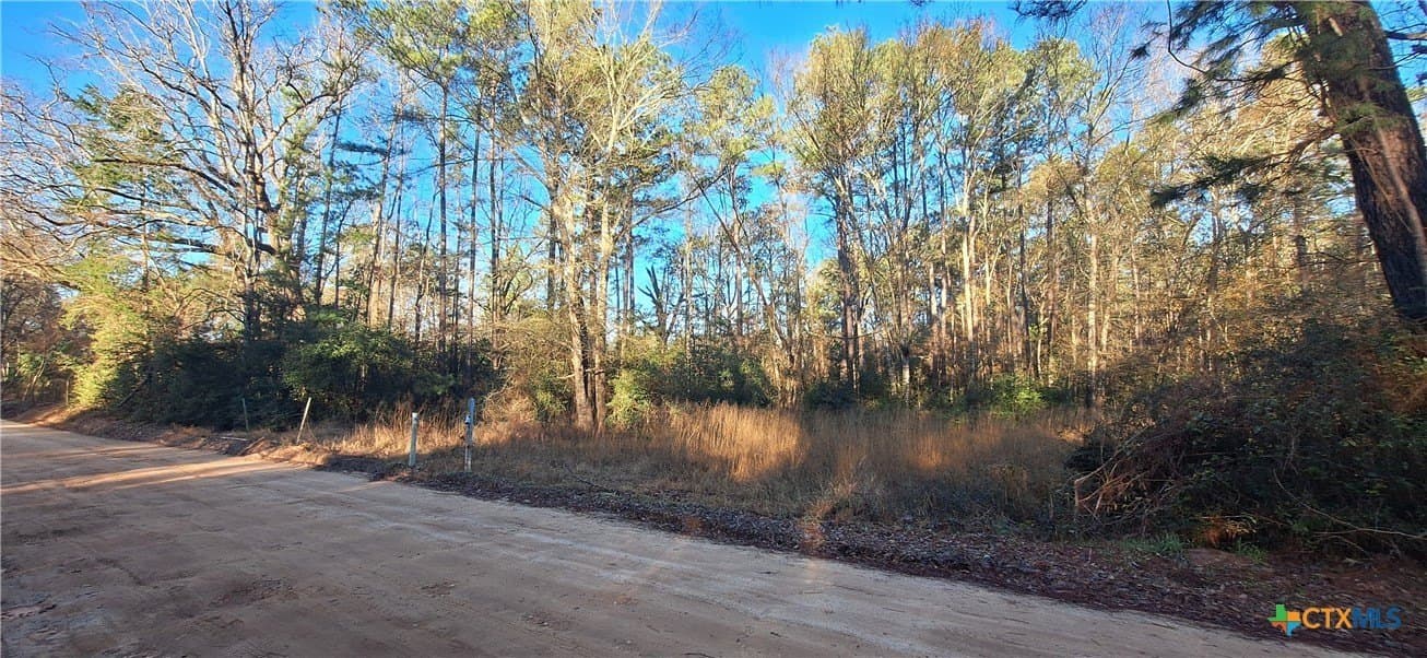 12.44 acres in Houston County - photo 4