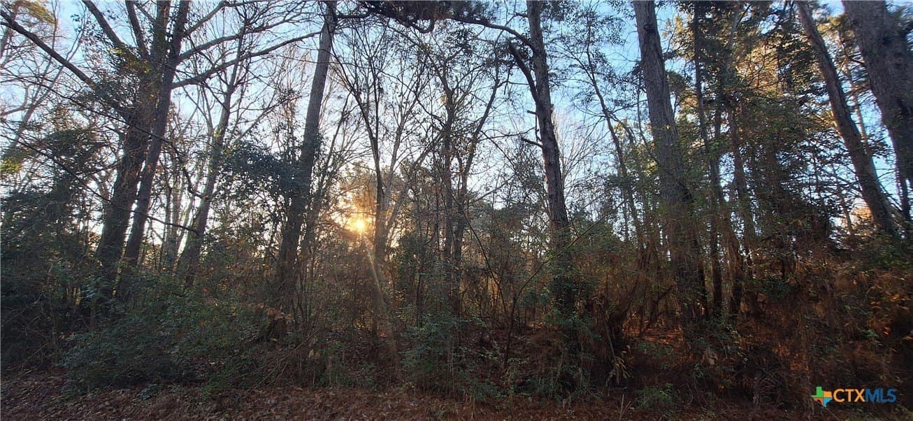 12.44 acres in Houston County - photo 2