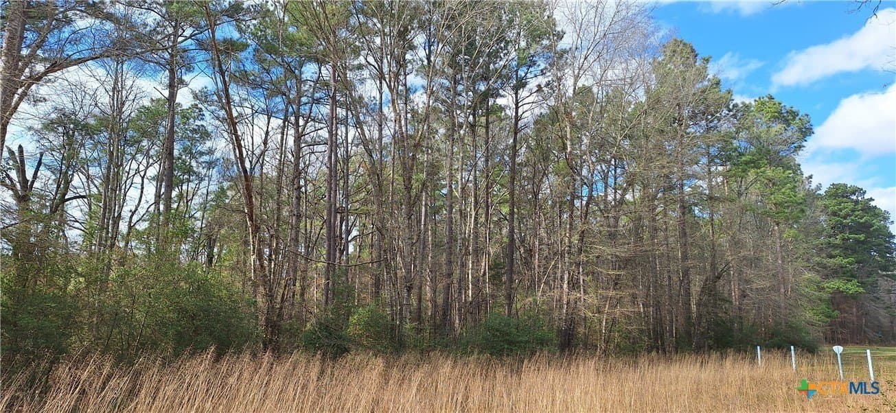 12.44 acres in Houston County - photo 9