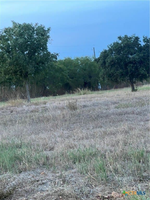 0.99 acres in Gonzales County - photo 8