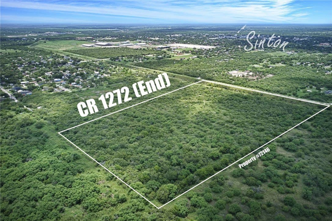 20 acres in San Patricio County - photo 3