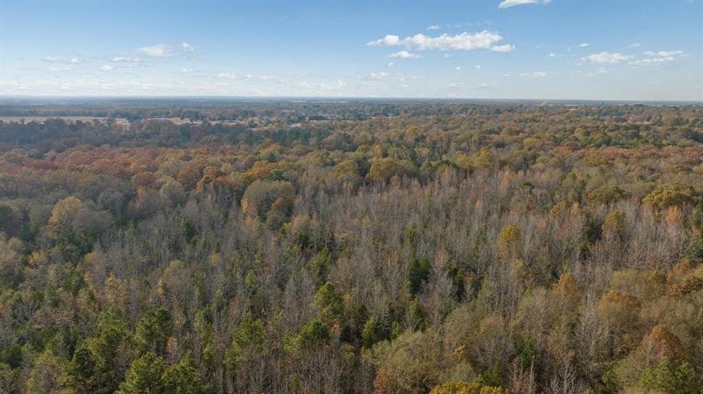13.75 acres in Red River County - photo 14