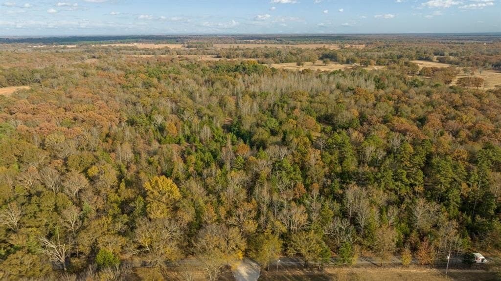 13.75 acres in Red River County - photo 4