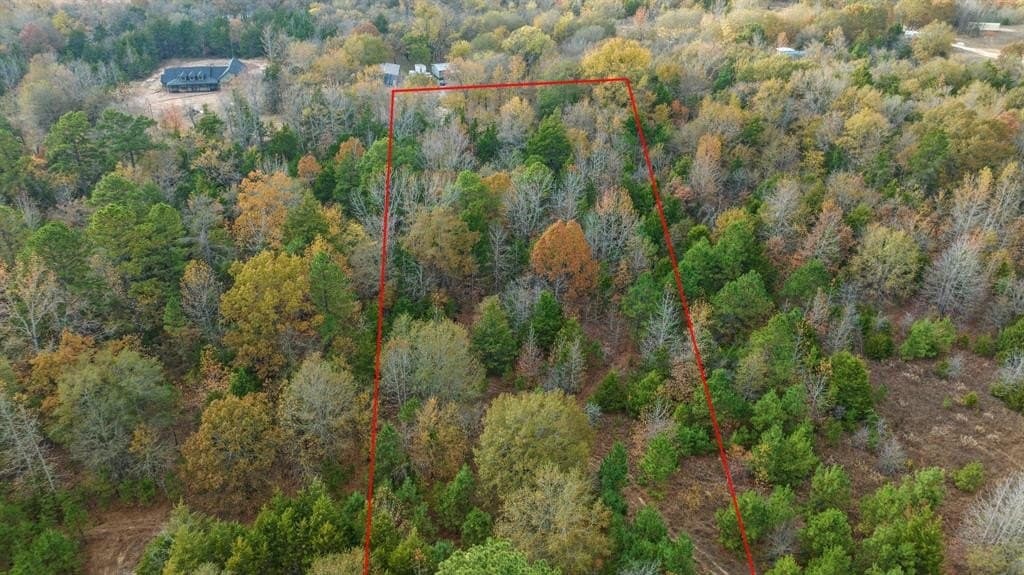 13.75 acres in Red River County - photo 9