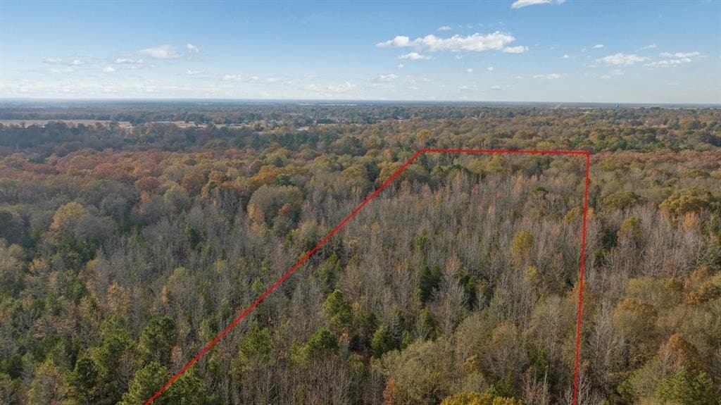 13.75 acres in Red River County - photo 6