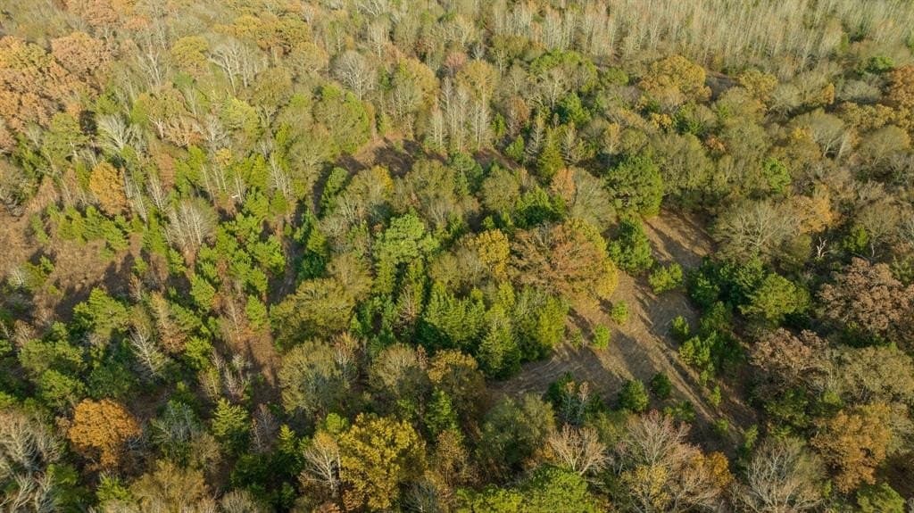 13.75 acres in Red River County - photo 11