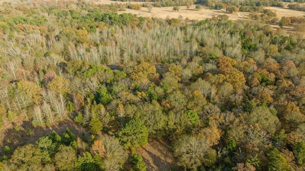 13.75 acres in Red River County - photo 12