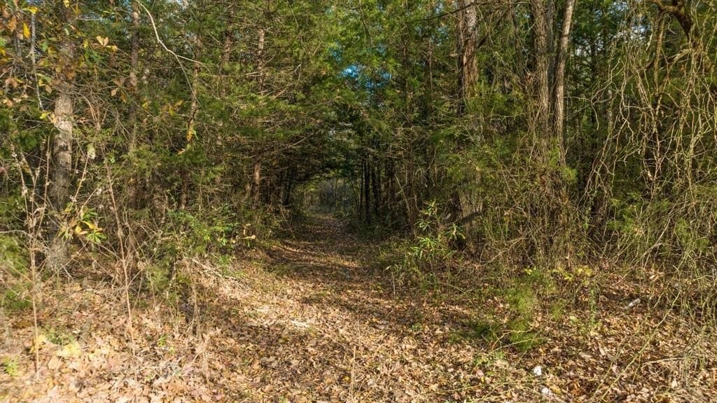 13.75 acres in Red River County - photo 3